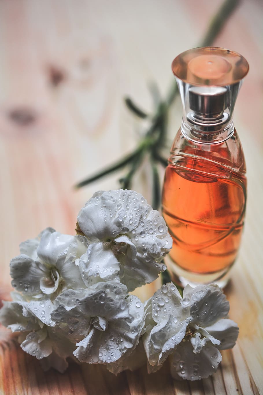 Jasmine + Patchouli Perfume Oil